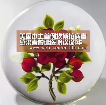华体会登录