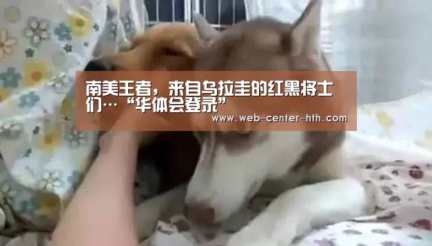 华体会登录