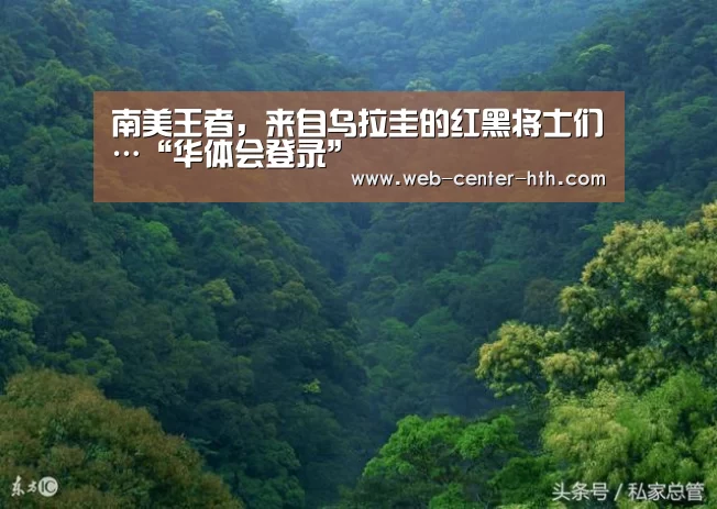 体育赛事